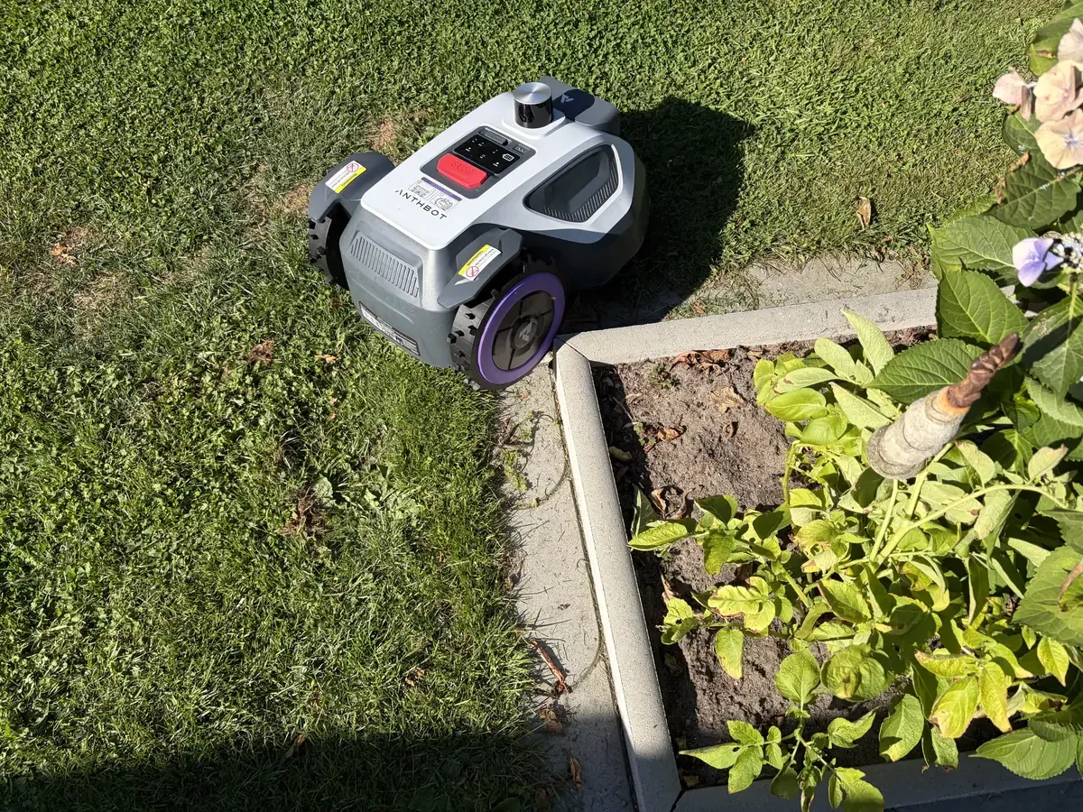 Der Anthbot M5 LiDAR vor ebenerdigen Kantsteinen und einem hochstehenden Randstein am Beet