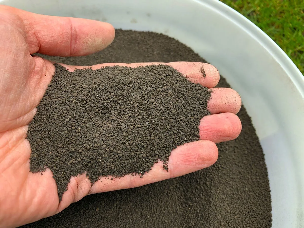 Granulat des organisch-mineralischen Rasendüngers in der Hand
