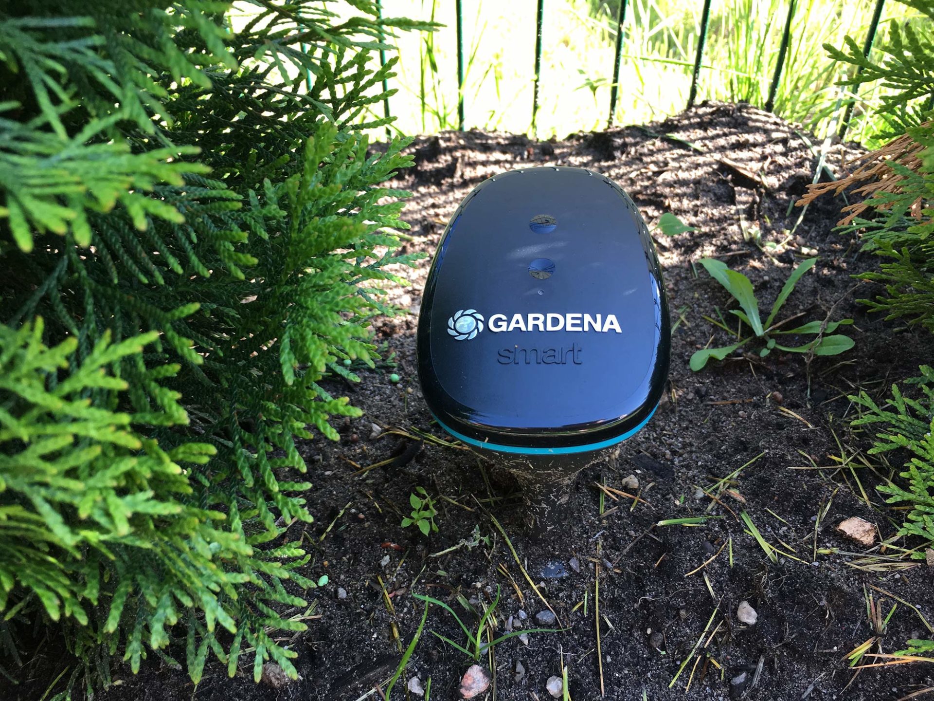 Der neue GARDENA smart Sensor