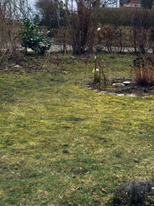 Rasen entfernen - Wenn der Rasen weg muss Rasen entfernen - Wenn der Rasen weg muss