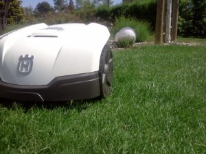 Rasenroboter bei der Arbeit
