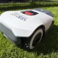 Anthbot Genie 800 im Test - Unsere Erfahrungen