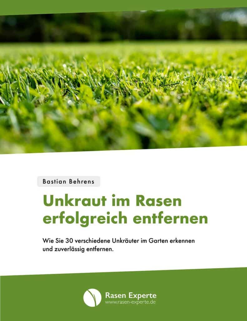 eBook: Unkraut im Rasen entfernen