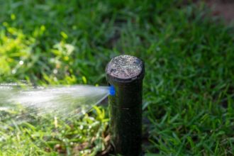 Startseite - Rasen Experte