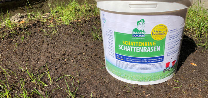 Schattenking von Rasendoktor