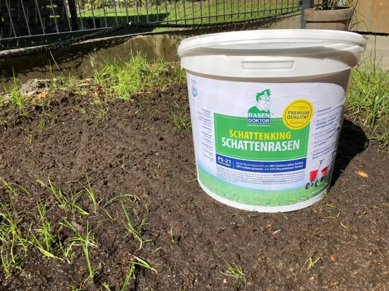Schattenking von Rasendoktor