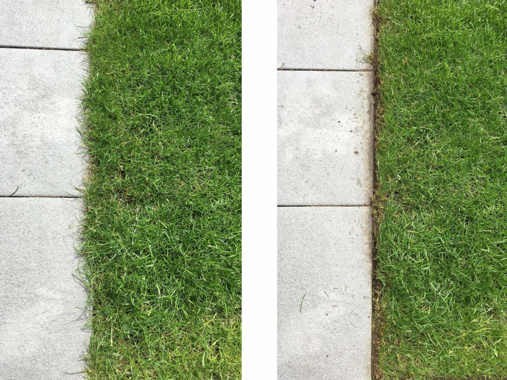 Vorher-Nachher: Unsere Rasenkanten im Vergleich