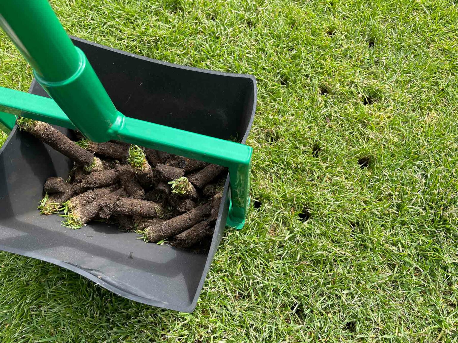 Handaerifizierer mit Hohlspoons von Rasenspecht Die besten