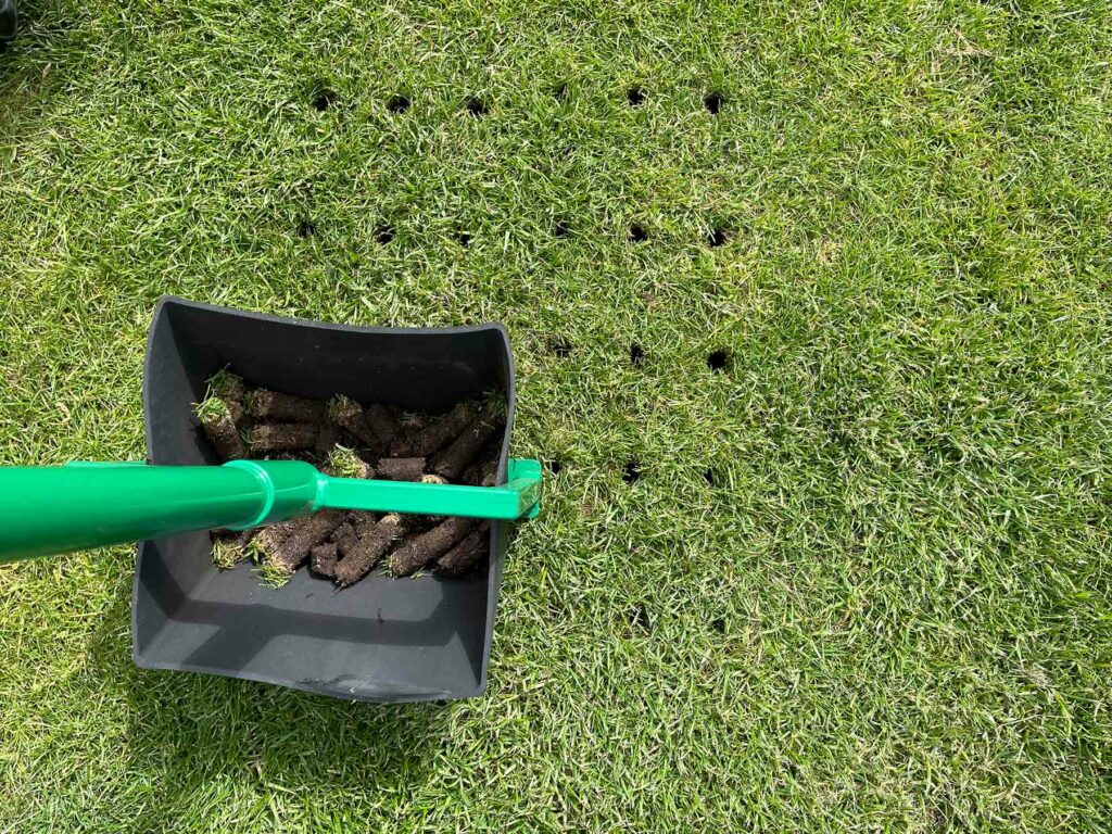 Rasenspecht Handaerifizierer bei der Arbeit