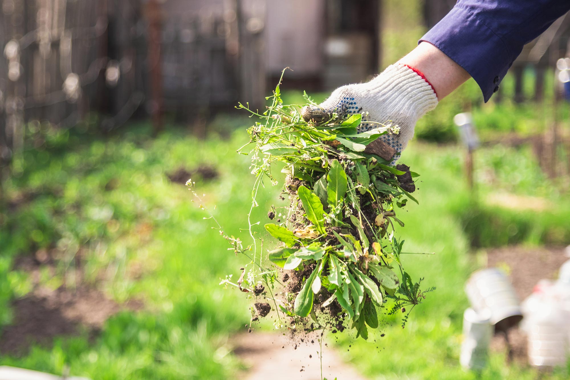 Totalherbizide - Unkraut im Garten mit Chemie entfernen